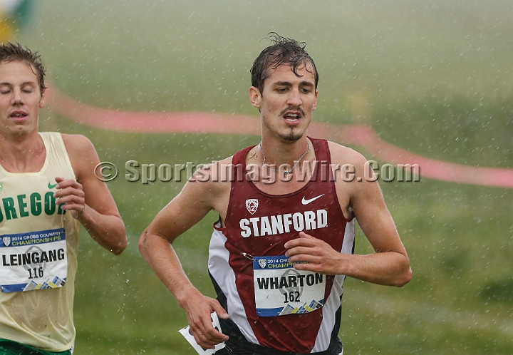 2014Pac-12XC-125.JPG - 2014 Pac-12 Cross Country Championships October 31, 2014, hosted by Cal at Metropolitan Golf Links, Oakland, CA.