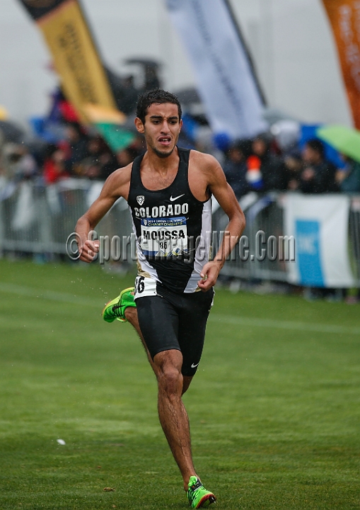 2014Pac-12XC-133.JPG - 2014 Pac-12 Cross Country Championships October 31, 2014, hosted by Cal at Metropolitan Golf Links, Oakland, CA.