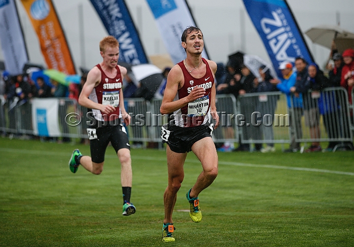 2014Pac-12XC-147.JPG - 2014 Pac-12 Cross Country Championships October 31, 2014, hosted by Cal at Metropolitan Golf Links, Oakland, CA.