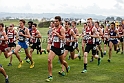 2014Pac-12XC-094