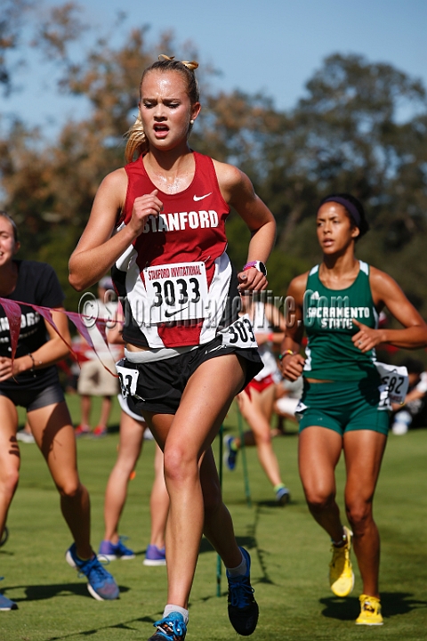 2014StanfordCollWomen-276.JPG - College race at the 2014 Stanford Cross Country Invitational, September 27, Stanford Golf Course, Stanford, California.
