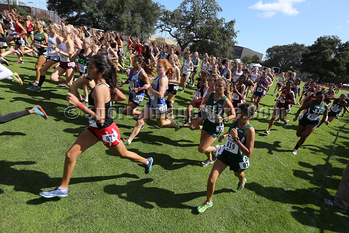 2014StanfordD1Girls-315.JPG - D1 girls race at the Stanford Invitational, September 27, Stanford Golf Course, Stanford, California.