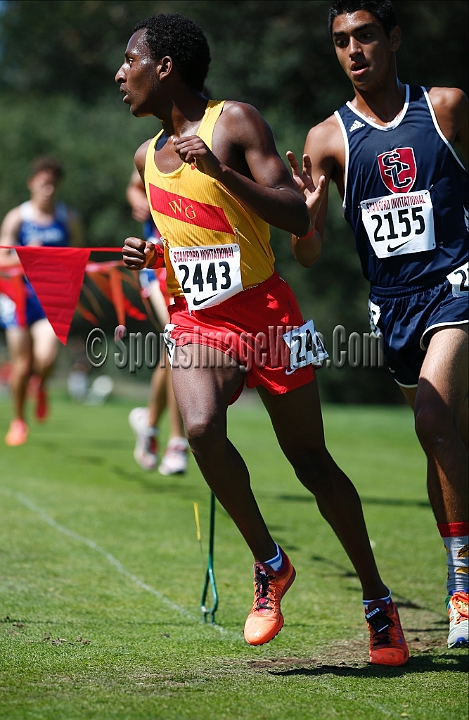 2014StanfordD2Boys-076.JPG - D2 boys race at the Stanford Invitational, September 27, Stanford Golf Course, Stanford, California.