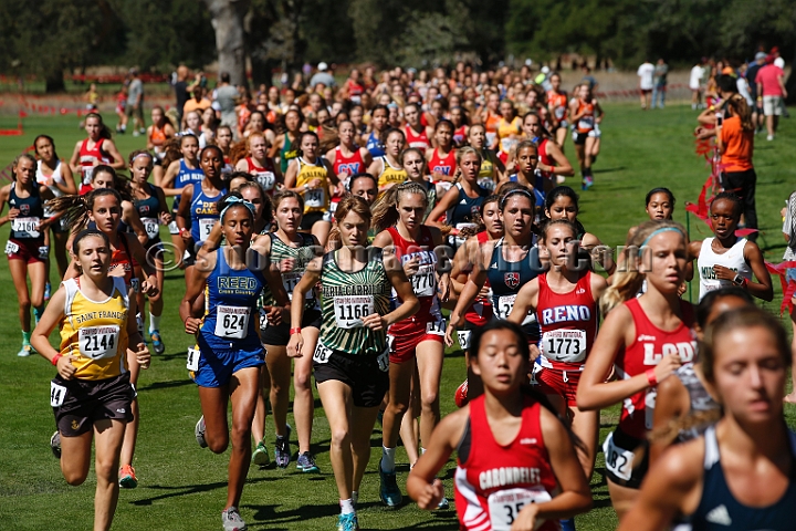 2014StanfordD2Girls-025.JPG - D2 girls race at the Stanford Invitational, September 27, Stanford Golf Course, Stanford, California.