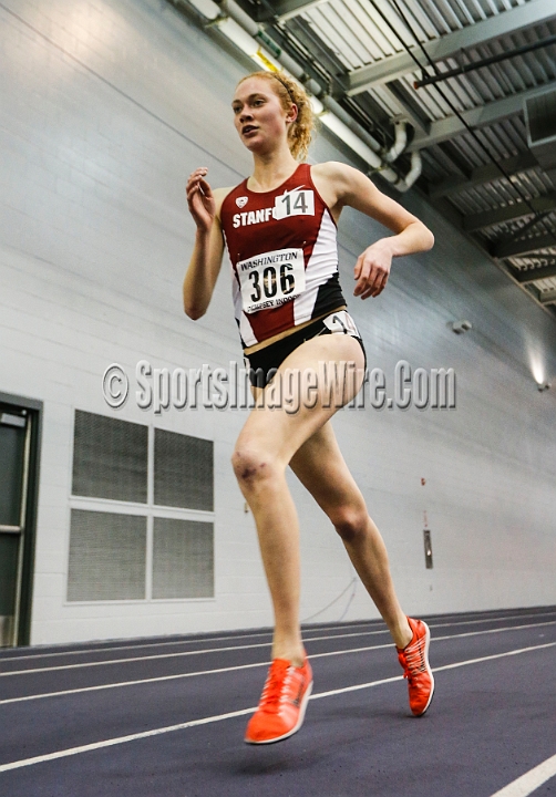 2014UWIndoorPreview-032.JPG - Jan 18, 2014; Seattle, WA, USA; in the UW Indoor preview meet at the Dempsey Indoor Track.