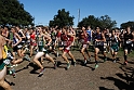 2015SIxcHSD3-006