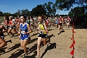 2015SIxcHSD3-099