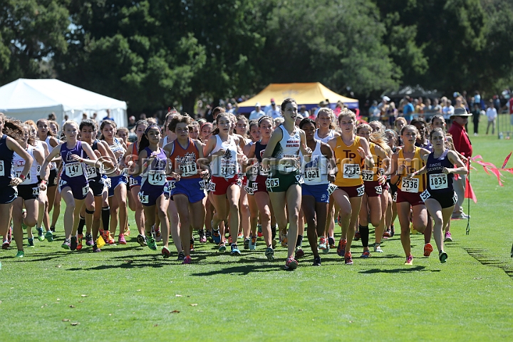 2015SIxcHSSeeded-175.JPG - 2015 Stanford Cross Country Invitational, September 26, Stanford Golf Course, Stanford, California.