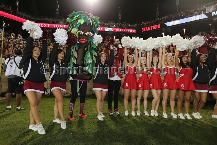 2015StanfordAriz-053.JPG - Oct 3, 2015; Stanford, CA, USA; Stanford Cardinal  against the Arizona Wildcats at  Stanford Stadium. Stanford beat Arizona 55-17.