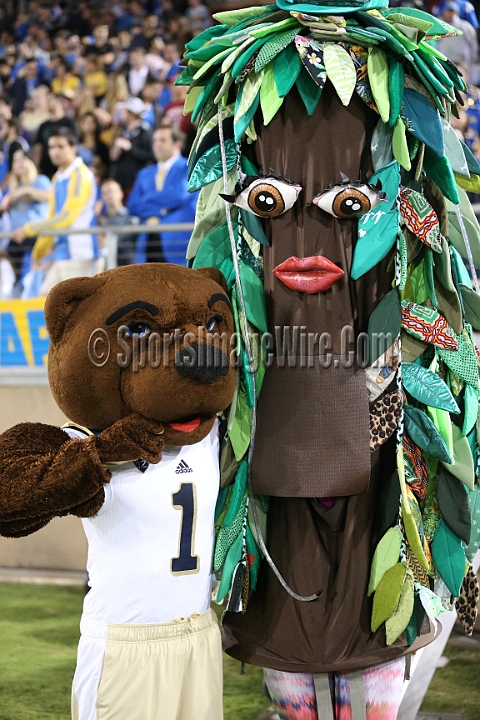 2015StanfordUCLA-054.JPG - Oct 15, 2015; Stanford, CA, USA; Stanford Cardinal  against the UCLA Bruins at  Stanford Stadium. Stanford beat UCLA 56-35.