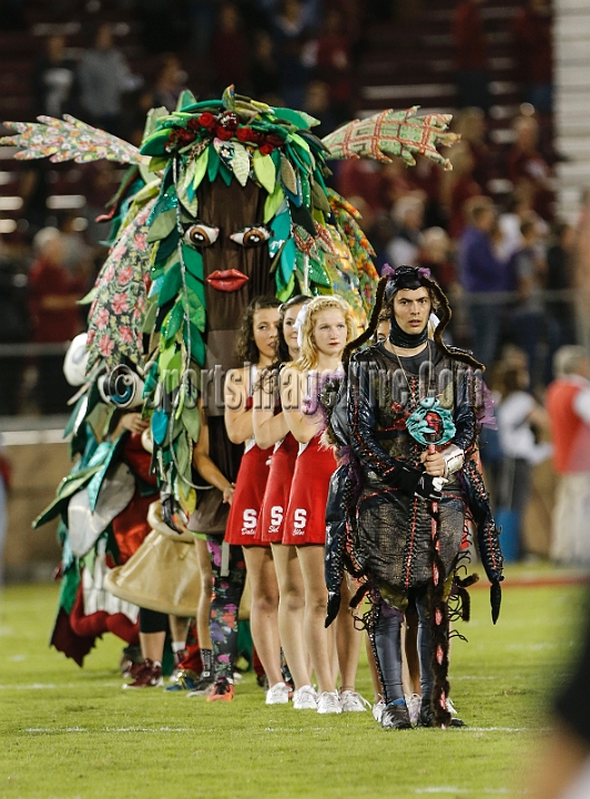 2015StanWash-021.JPG - Oct 24, 2015; Stanford, CA, USA; Stanford Cardinal drum major flanked by Dollie cheerleaders Chloe Koseff, Shelby Crants, Dalia Szafer and The Trees  during the national anthem prior to game against the Washington Huskies at  Stanford Stadium. 