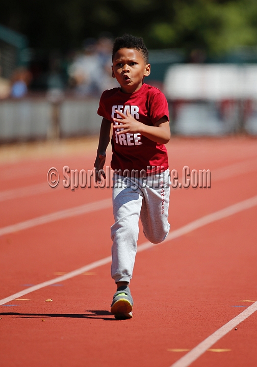 2016HalfLap-008.JPG - Apr 1-2, 2016; Stanford, CA, USA; the Stanford Track and Field Invitational.
