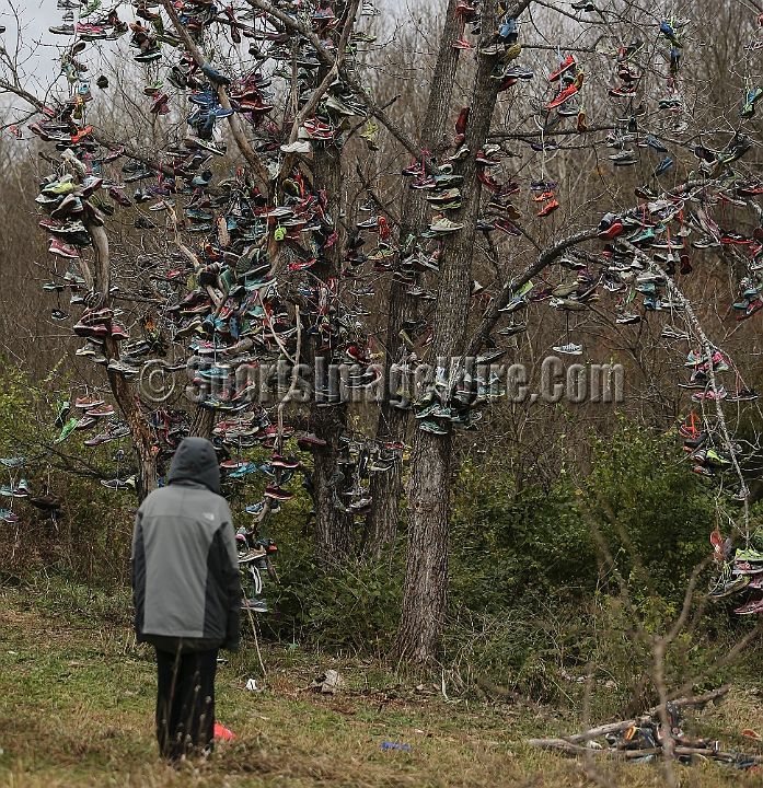 2016NCAAXC-093.JPG - Nov 18, 2016; Terre Haute, IN, USA;  at the LaVern Gibson Championship Cross Country Course for the 2016 NCAA cross country championships.