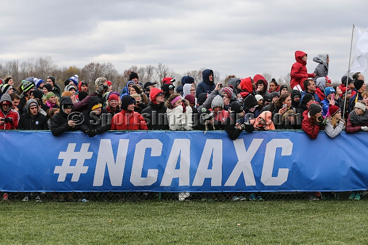 2016NCAAXC-127.JPG - Nov 18, 2016; Terre Haute, IN, USA;  at the LaVern Gibson Championship Cross Country Course for the 2016 NCAA cross country championships.