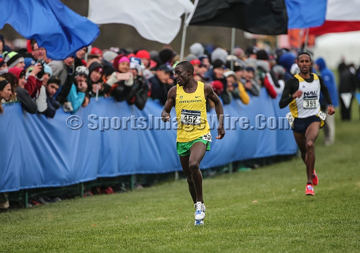 2016NCAAXC-132.JPG - Nov 18, 2016; Terre Haute, IN, USA;  at the LaVern Gibson Championship Cross Country Course for the 2016 NCAA cross country championships.
