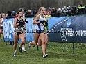 2016NCAAXC-002
