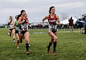 2016NCAAXC-024