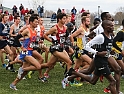 2016NCAAXC-052