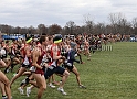 2016NCAAXC-120