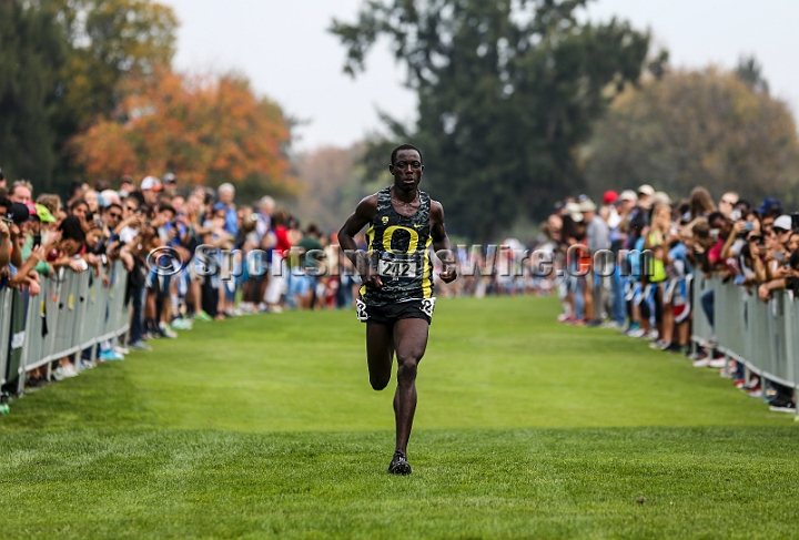 2016NCAAWestXC-076.JPG - EdwardCheserek  (242) of Oregon won the NCAA West Regional cross country championships in 29:23.7 at Haggin Oaks Golf Course  in Sacramento, Calif. on Friday, Nov 11, 2016. (Spencer Allen/IOS via AP Images)