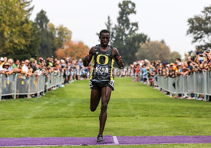 2016NCAAWestXC-077.JPG - EdwardCheserek  (242) of Oregon won the NCAA West Regional cross country championships in 29:23.7 at Haggin Oaks Golf Course  in Sacramento, Calif. on Friday, Nov 11, 2016. (Spencer Allen/IOS via AP Images)