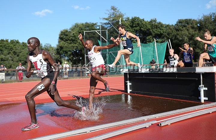 2016PaytonJordan-166.JPG - 2016, May 1, Payton Jordan Invitational, Cobb Track and Angell Field, Stanford, California.
