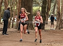 2016USFXC-031