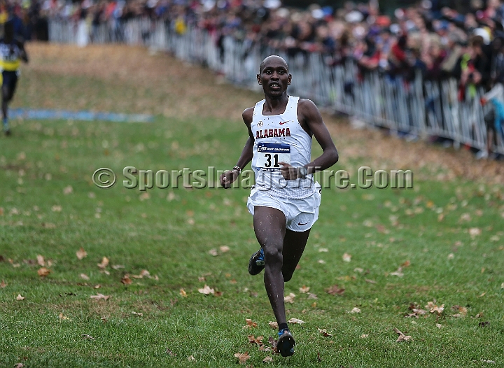 2017NCAAXCSat-137.JPG