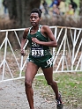 2017NCAAXCSat-045