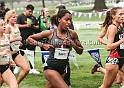 2017Pac12XC-106