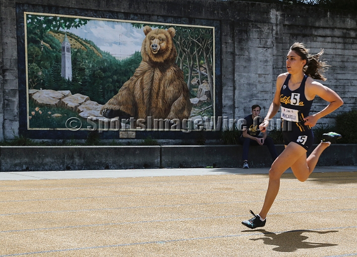 2018BigMeet-091.JPG - Apr 7, 2018; Berkeley, CA, USA; The 124nd Stanford vs California Big Meet, won by the Stanford men 100-63 and the women 115-47.
