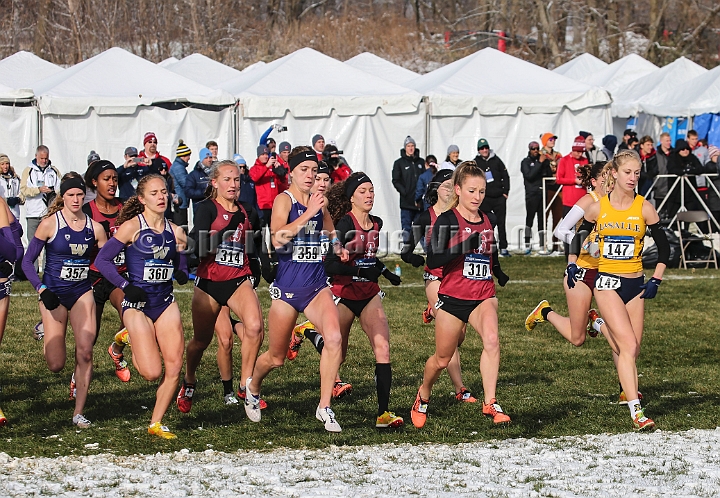 2018NCAAXCSat-039.JPG - November 17, 2018, Madison WI; the NCAA Cross Country Championships.