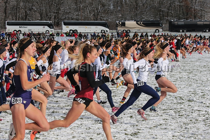 2018NCAAXCSat-042.JPG - November 17, 2018, Madison WI; the NCAA Cross Country Championships.