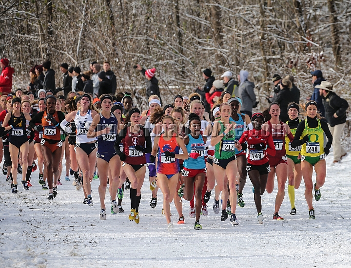 2018NCAAXCSat-044.JPG - November 17, 2018, Madison WI; the NCAA Cross Country Championships.