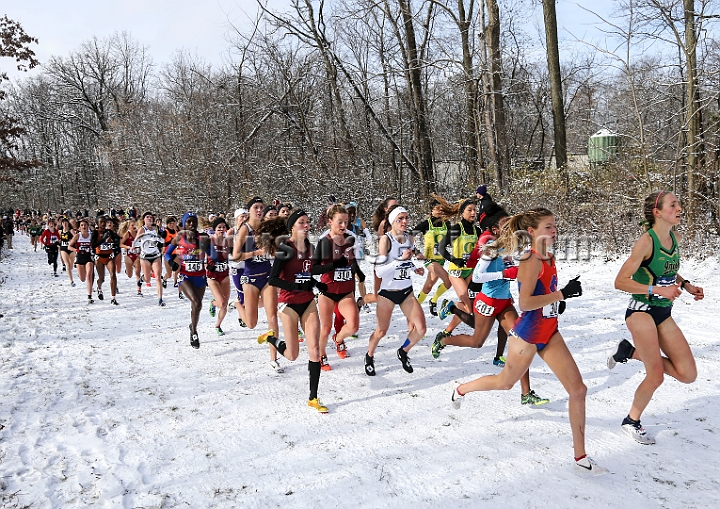 2018NCAAXCSat-049.JPG - November 17, 2018, Madison WI; the NCAA Cross Country Championships.