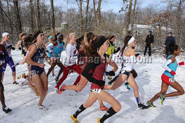 2018NCAAXCSat-051.JPG - November 17, 2018, Madison WI; the NCAA Cross Country Championships.
