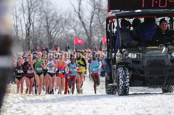 2018NCAAXCSat-058.JPG - November 17, 2018, Madison WI; the NCAA Cross Country Championships.