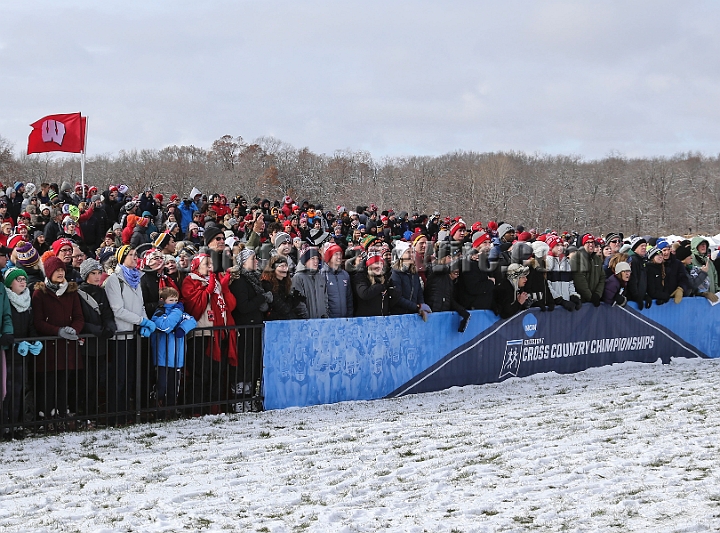 2018NCAAXCSat-063.JPG - November 17, 2018, Madison WI; the NCAA Cross Country Championships.