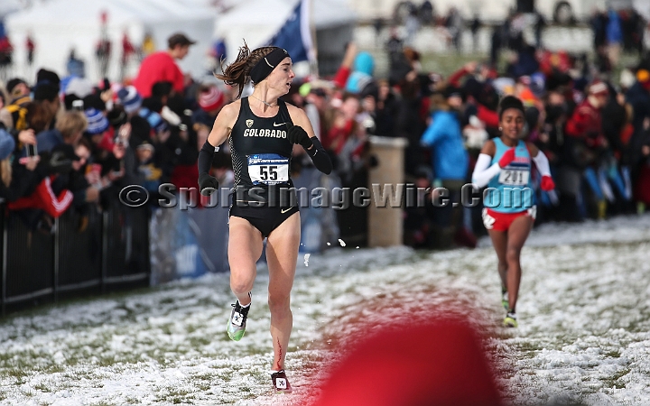 2018NCAAXCSat-066.JPG - November 17, 2018, Madison WI; the NCAA Cross Country Championships.