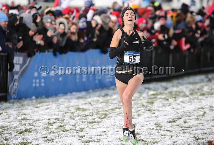 2018NCAAXCSat-068.JPG - November 17, 2018, Madison WI; the NCAA Cross Country Championships.