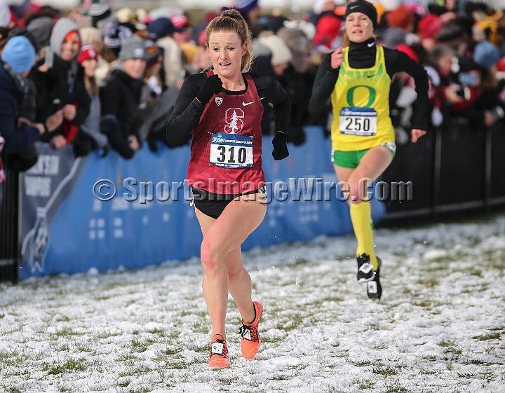 2018NCAAXCSat-073.JPG - November 17, 2018, Madison WI; the NCAA Cross Country Championships.