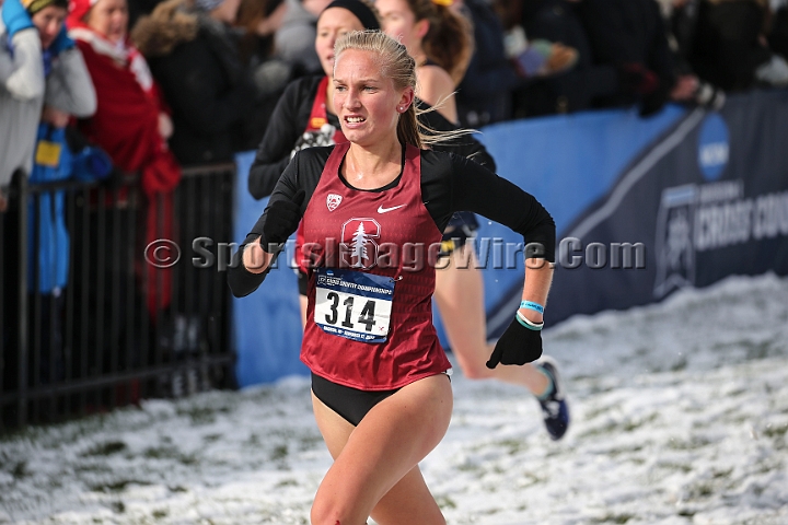 2018NCAAXCSat-081.JPG - November 17, 2018, Madison WI; the NCAA Cross Country Championships.