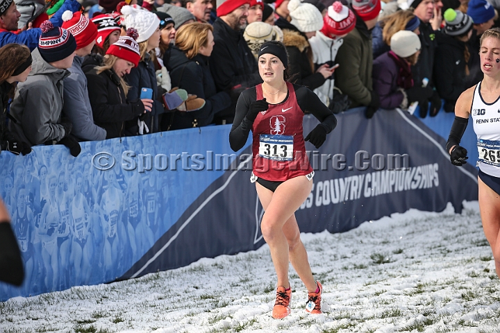 2018NCAAXCSat-084.JPG - November 17, 2018, Madison WI; the NCAA Cross Country Championships.