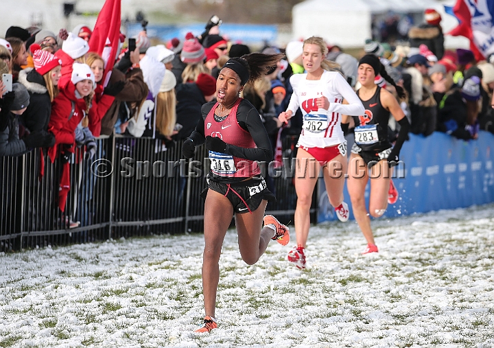 2018NCAAXCSat-086.JPG - November 17, 2018, Madison WI; the NCAA Cross Country Championships.