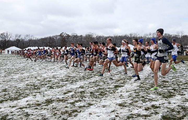 2018NCAAXCSat-110.JPG - November 17, 2018, Madison WI; the NCAA Cross Country Championships.