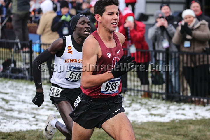 2018NCAAXCSat-137.JPG - November 17, 2018, Madison WI; the NCAA Cross Country Championships.