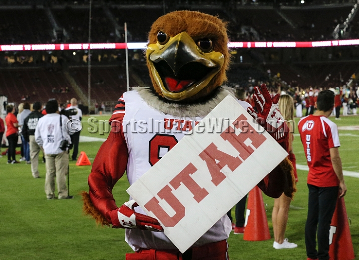 20181006StanfordUtah-003.JPG - Oct. 6, 2018; Stanford, CA.; Utah mascot Swoop prior to an NCAA football game between the Stanford Cardinal and the Utah Utes at Stanford Stadium. Utah defeated Stanford 40-21.