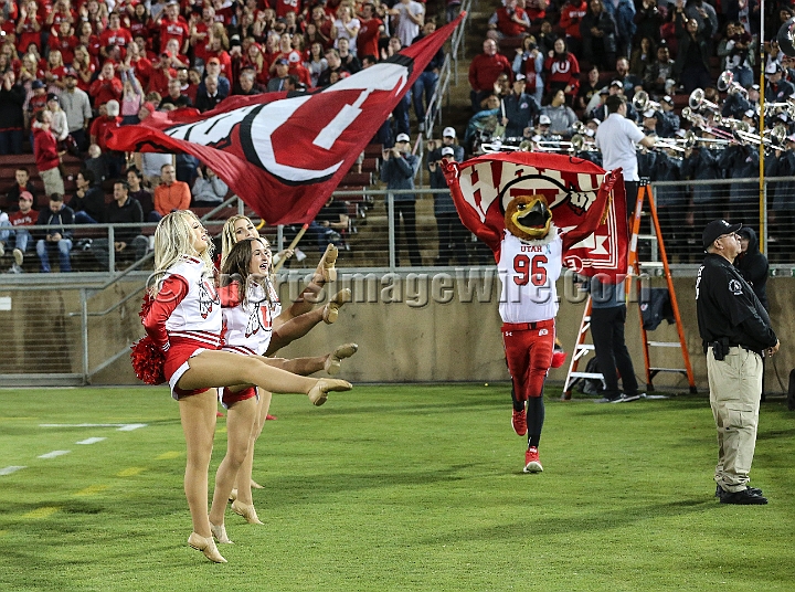 20181006StanfordUtah-038.JPG - Oct. 6, 2018; Stanford, CA.; Utah cheerleaders and mascot Swoop during an NCAA football game between the Stanford Cardinal and the Utah Utes at Stanford Stadium. Utah defeated Stanford 40-21. 