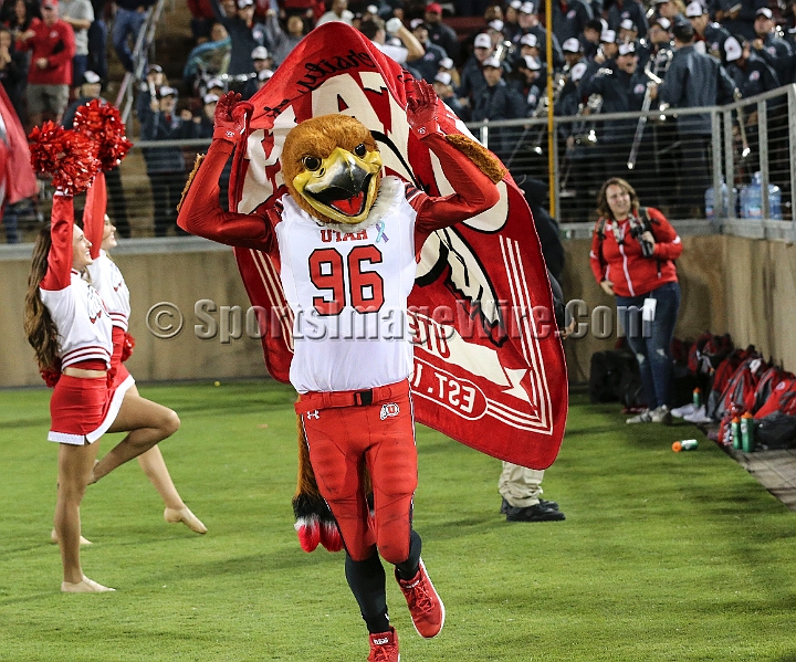 20181006StanfordUtah-039.JPG - Oct. 6, 2018; Stanford, CA.; Utah cheerleaders and mascot Swoop during an NCAA football game between the Stanford Cardinal and the Utah Utes at Stanford Stadium. Utah defeated Stanford 40-21