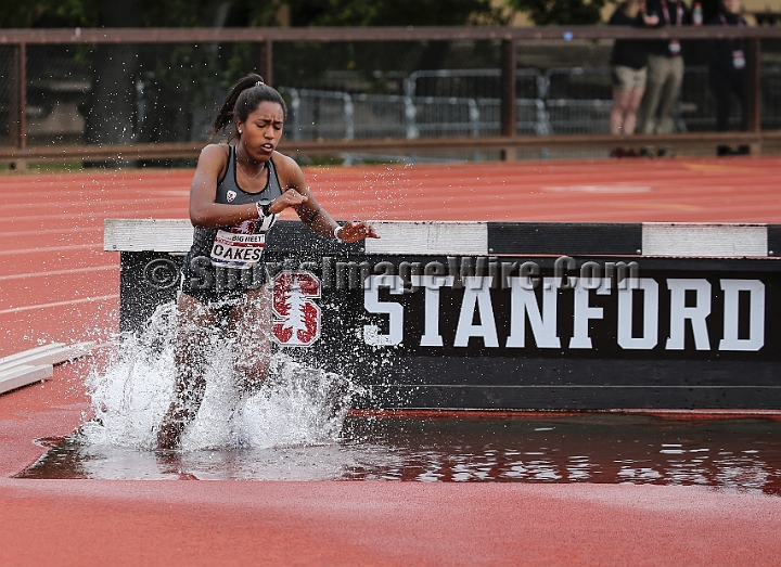2019BigMeet-084.JPG
